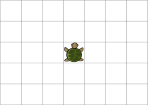 300px-Turtle grid.png