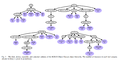 Rgbd dataset tree.png